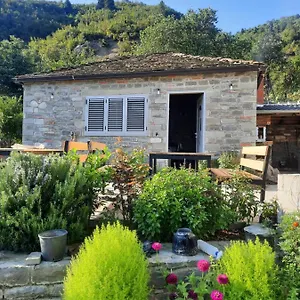 Bujtina Lugina E Vjoses , Përmet Albanie